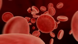 Blood Cells